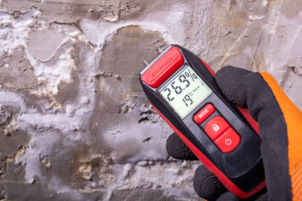 Best Mold Remediation for Specific Building Types in Nottingham, PA